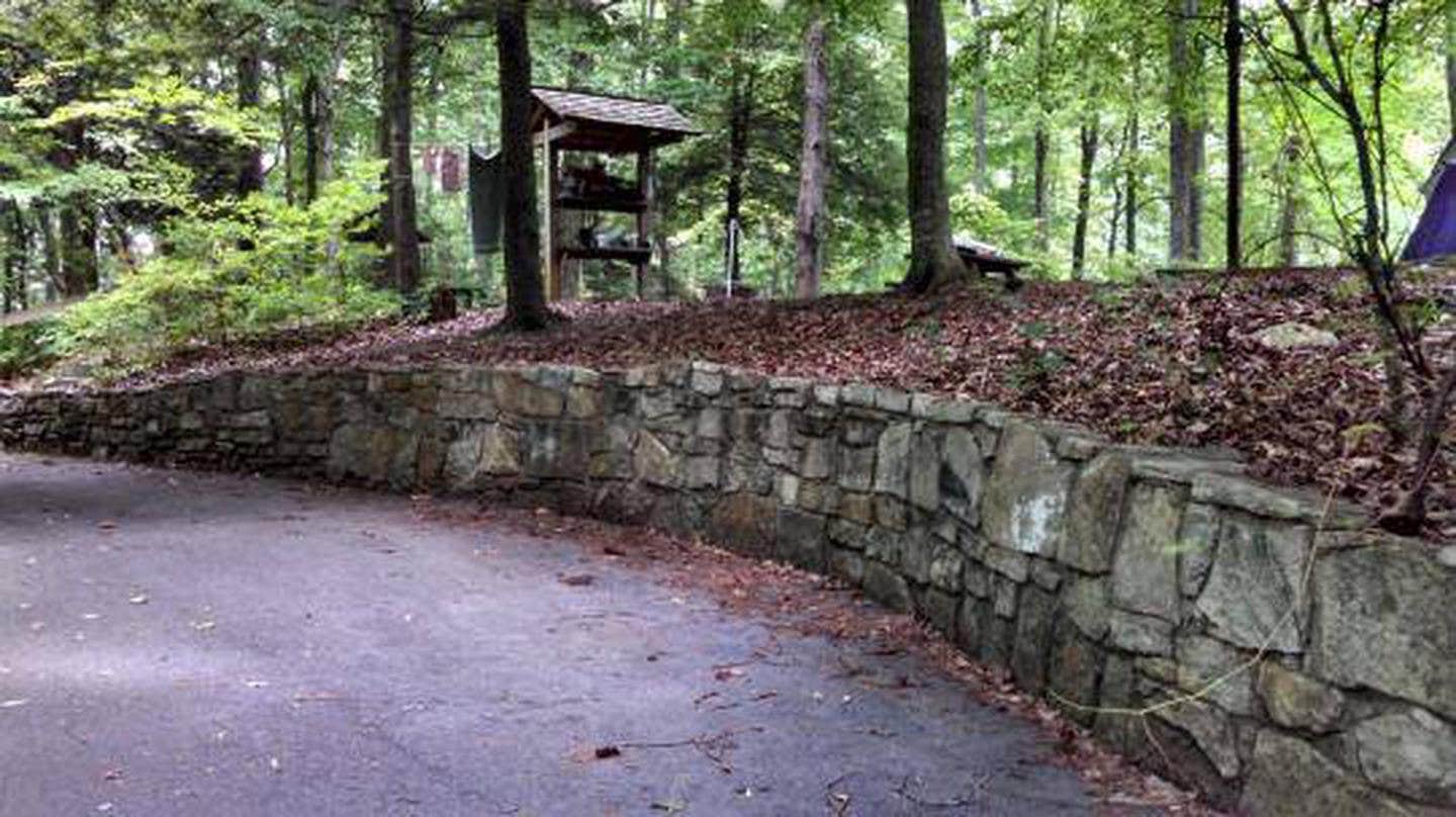 Camper submitted image from Cardens Bluff Campground - 3