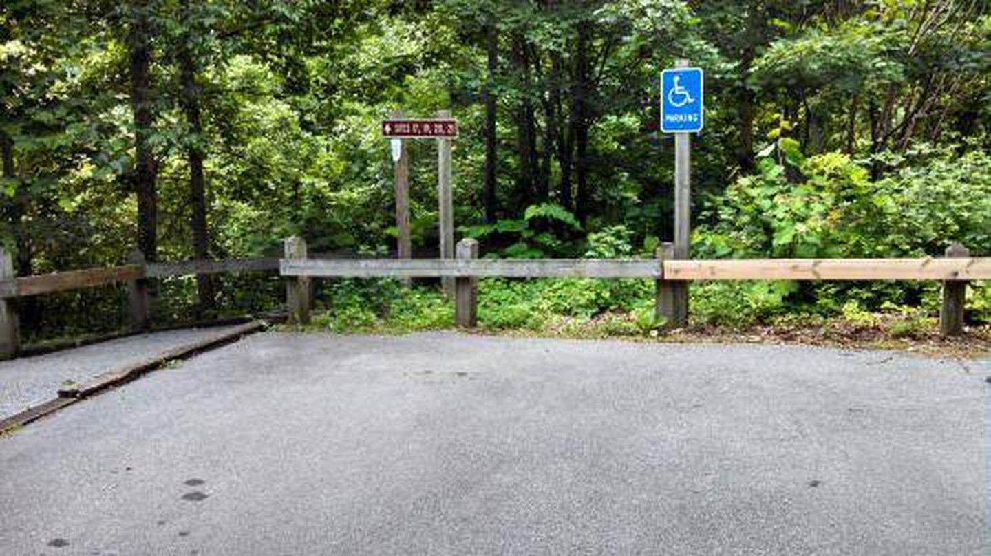Camper submitted image from Cardens Bluff Campground - 4