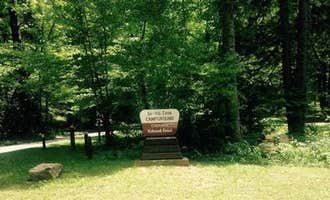 Camping near Boots Off Hostel & Campground: Dennis Cove Campground, Hampton, Tennessee