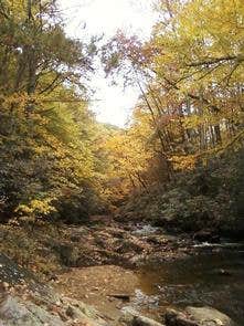 Camper submitted image from Dennis Cove Campground - 4