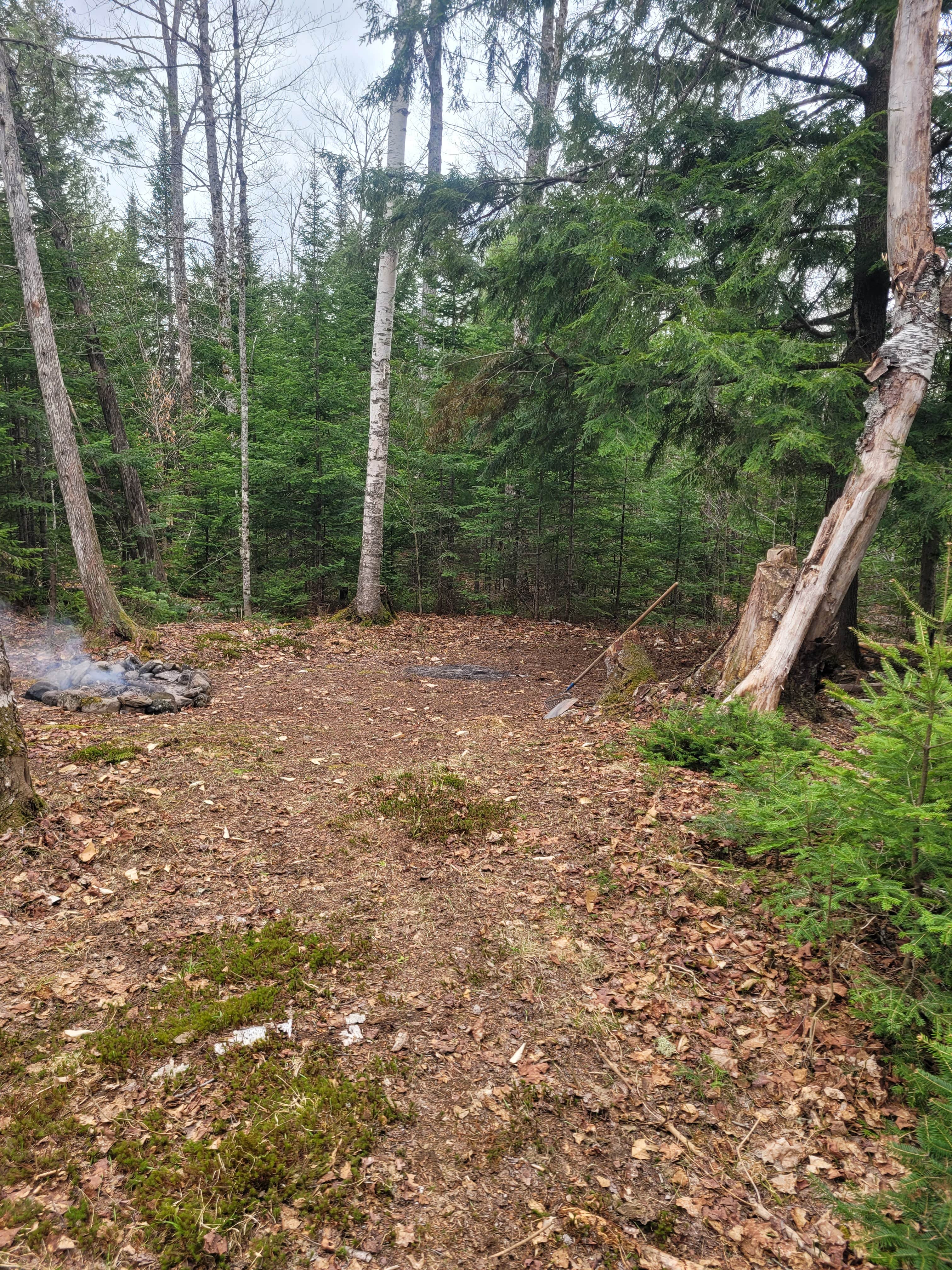 Camping near Spacious Skies Balsam Woods: Camp of the Woods, Dover-Foxcroft, Maine
