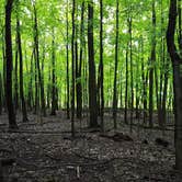 Review photo of High Cliff State Park Campground by Alex N., September 13, 2016