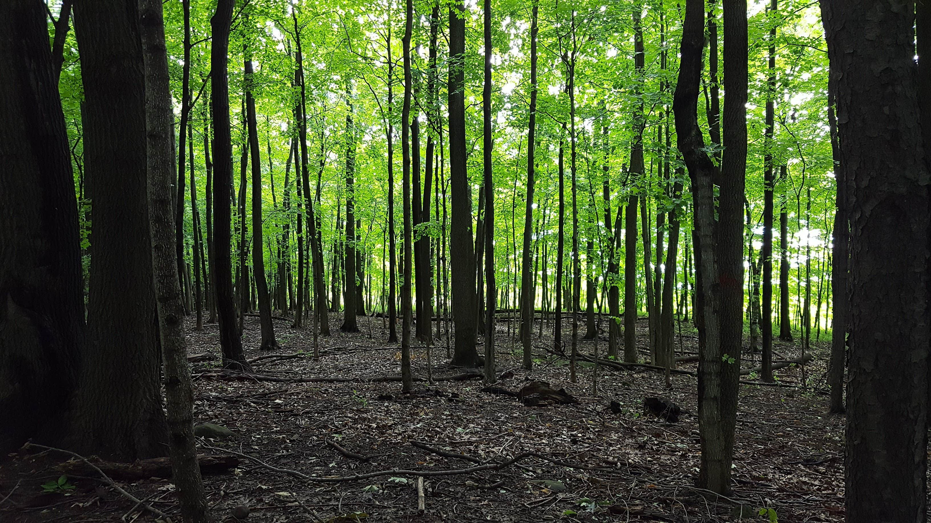 Camper submitted image from High Cliff State Park Campground - 2