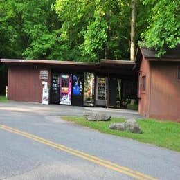 Public Campgrounds: Elkmont Campground — Great Smoky Mountains National Park