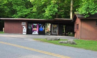 Camping near Cove Creek RV Resort : Elkmont Campground — Great Smoky Mountains National Park, Gatlinburg, Tennessee