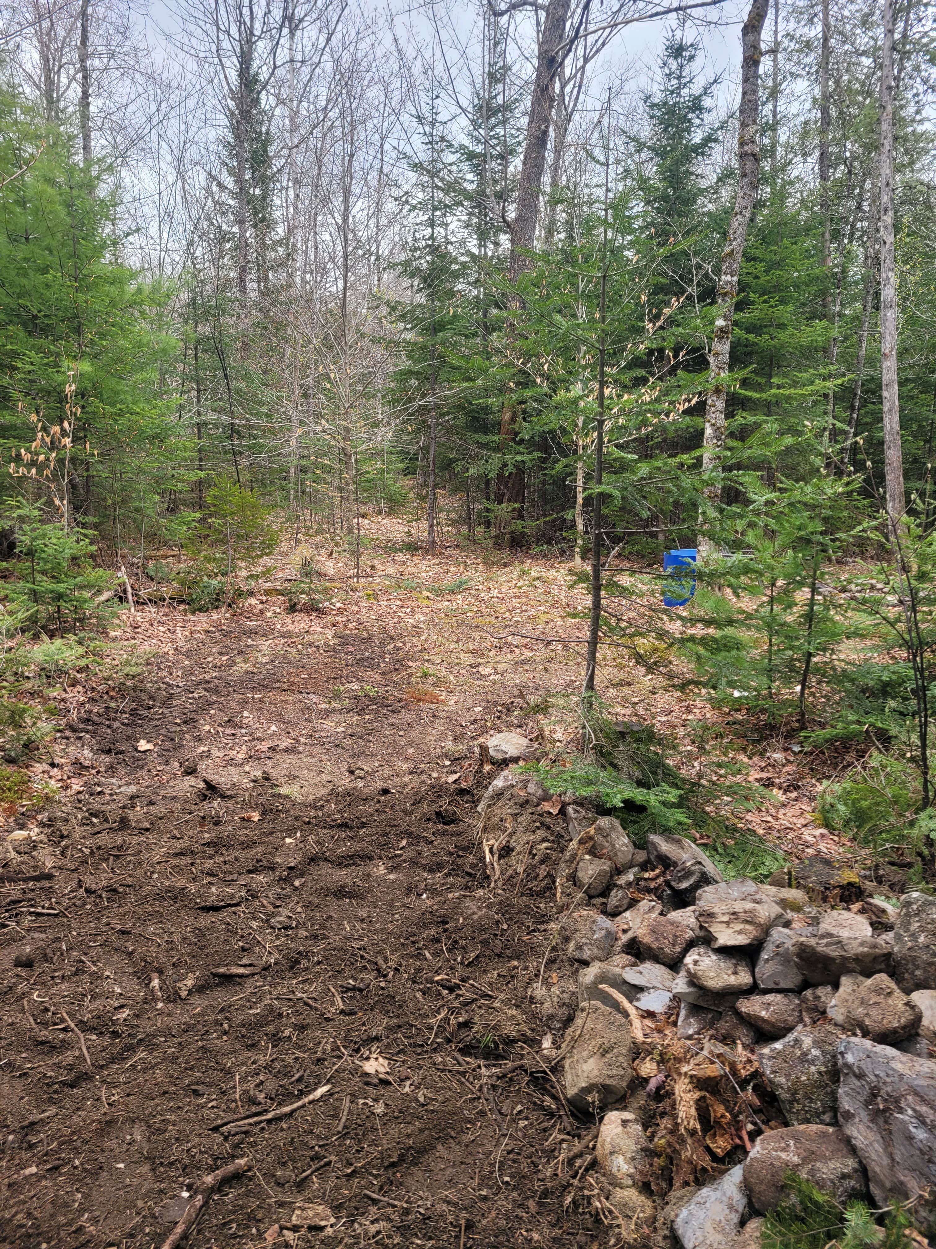 Camper-submitted photo at Camp of the Woods near Stetson, ME