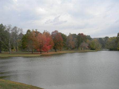 Camper submitted image from Harpeth River Bridge Campground (TN) - 5