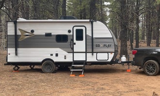 Camping near Mammoth Dispersed: Uinta Flat Dispersed, Duck Creek Village, Utah
