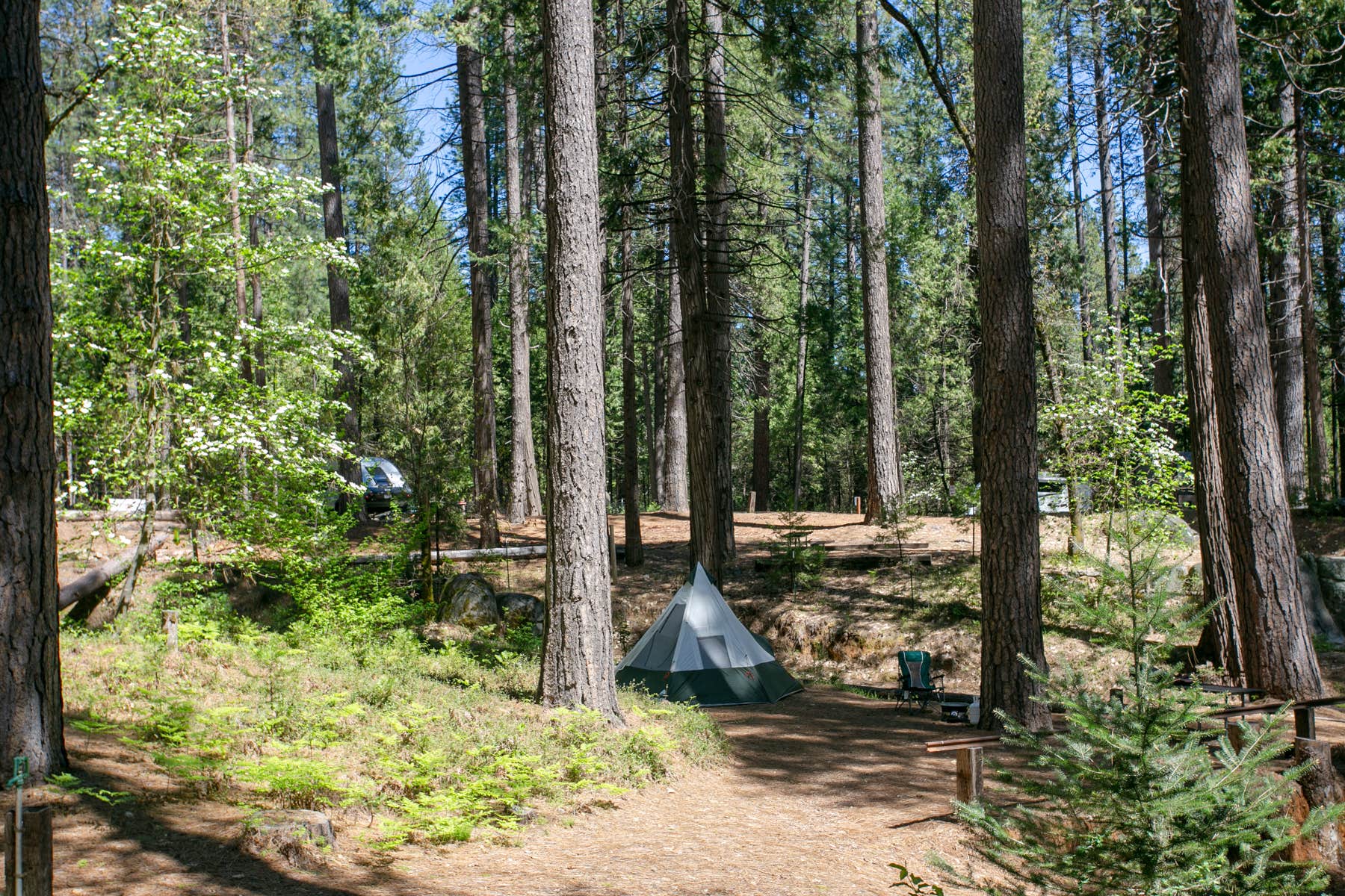 The Dyrt's photo at Inn Town Campground near Pinecrest, CA