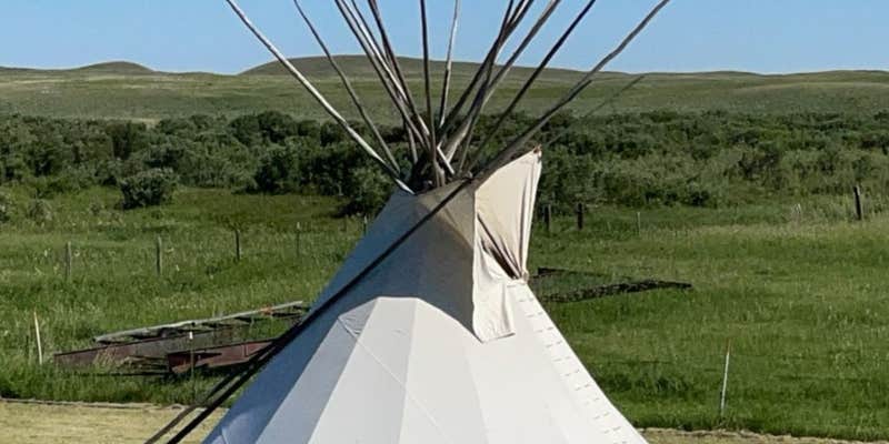 Camper submitted image from Hook's Hideaway Campground