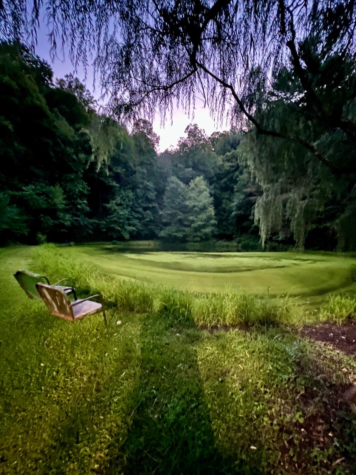 Camping near Grandview Ranch RV Park: Blackberry Blossom Farm & Campground, Unicoi, Tennessee