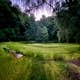 Blackberry Blossom Farm & Campground
