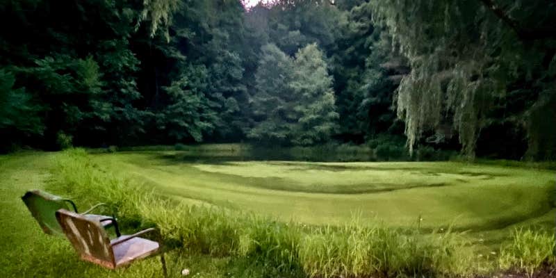 Camper submitted image from Blackberry Blossom Farm & Campground