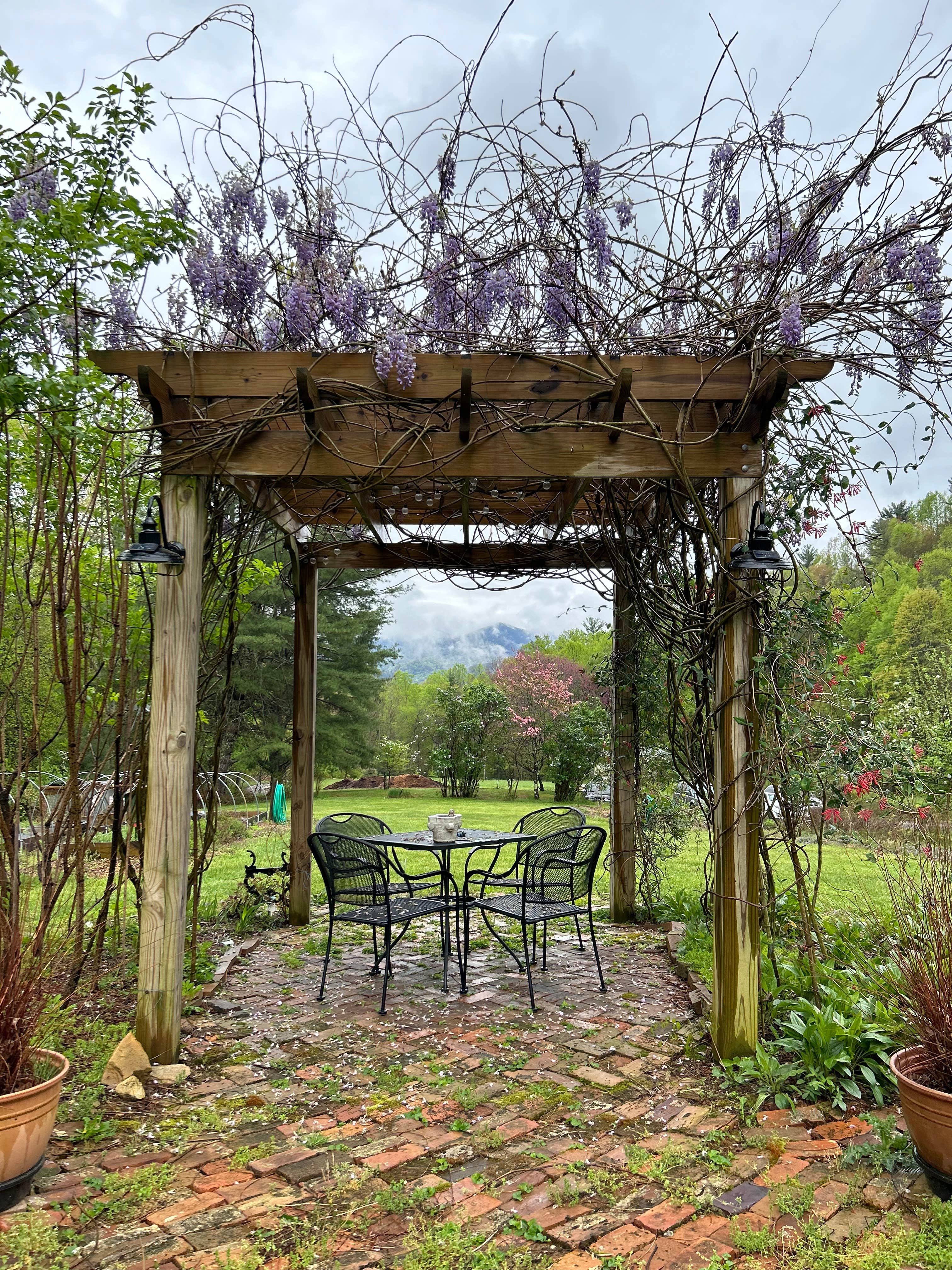 Camper-submitted photo at Blackberry Blossom Farm & Campground near Milligan College, TN