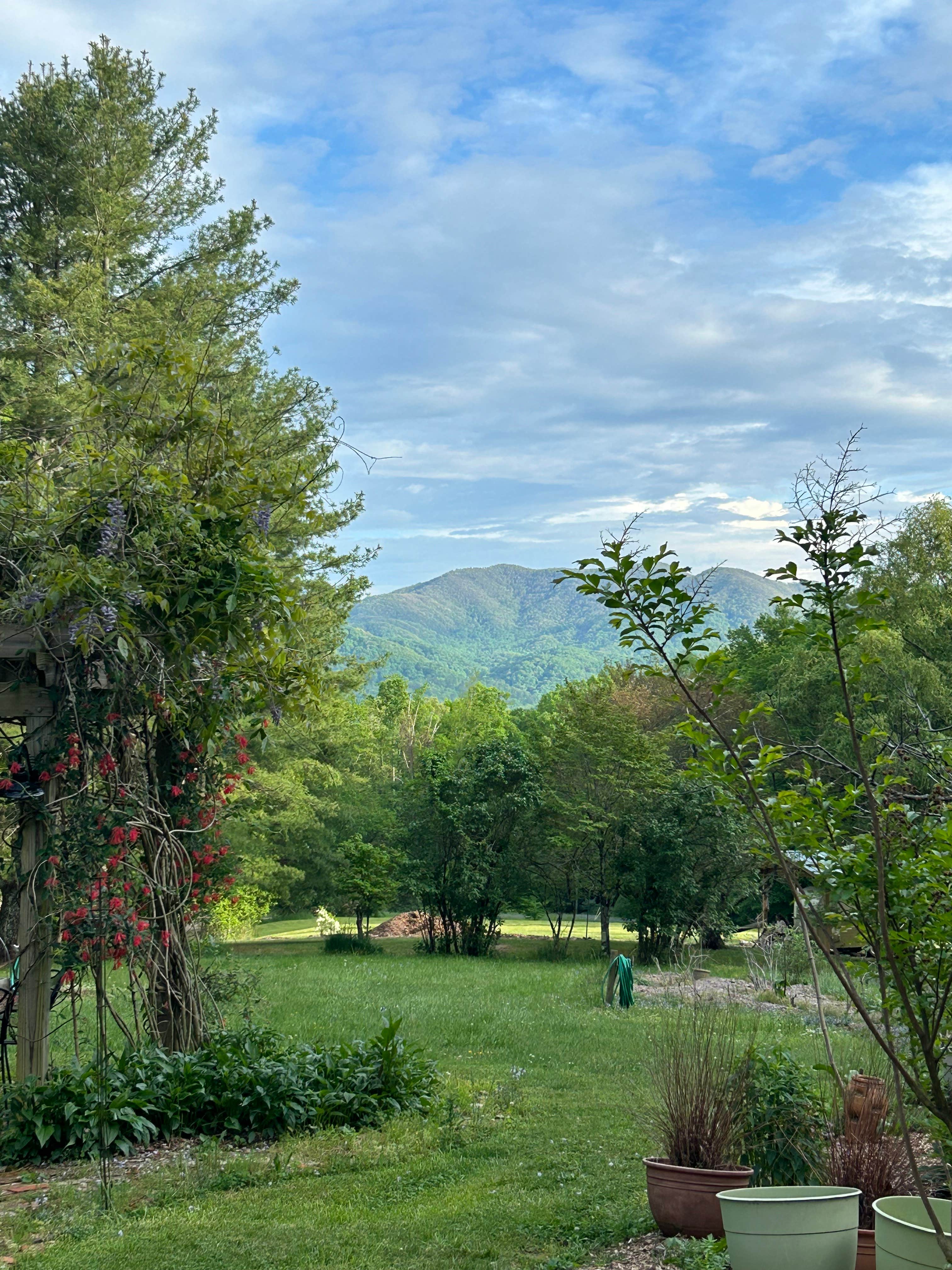 Camper-submitted photo at Blackberry Blossom Farm & Campground near Milligan College, TN