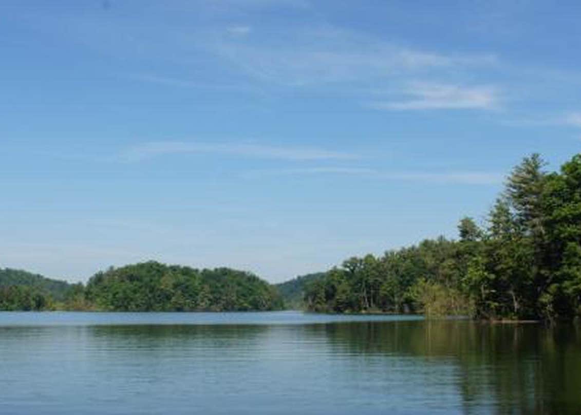 View All