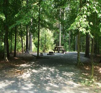 Camper-submitted photo from Stone Mountain State Park Campground