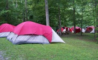 The Dyrt's photo at Mcnabb Creek Group near Tellico Plains, TN