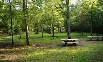 Camping near Indian Boundary: Mcnabb Creek Group, Tellico Plains, Tennessee