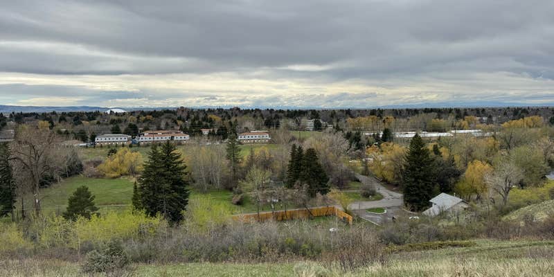 Camper submitted image from Bozeman Town Trout