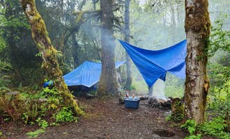 Camping near NF Riverview pull off: South Fork Calawah River, Forks, Washington