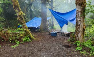 Payton N.'s photo of a dispersed camping area at South Fork Calawah River near Olympic National Forest