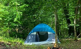 Kartia B.'s photo at Nocoma's Pass near Beattyville, KY