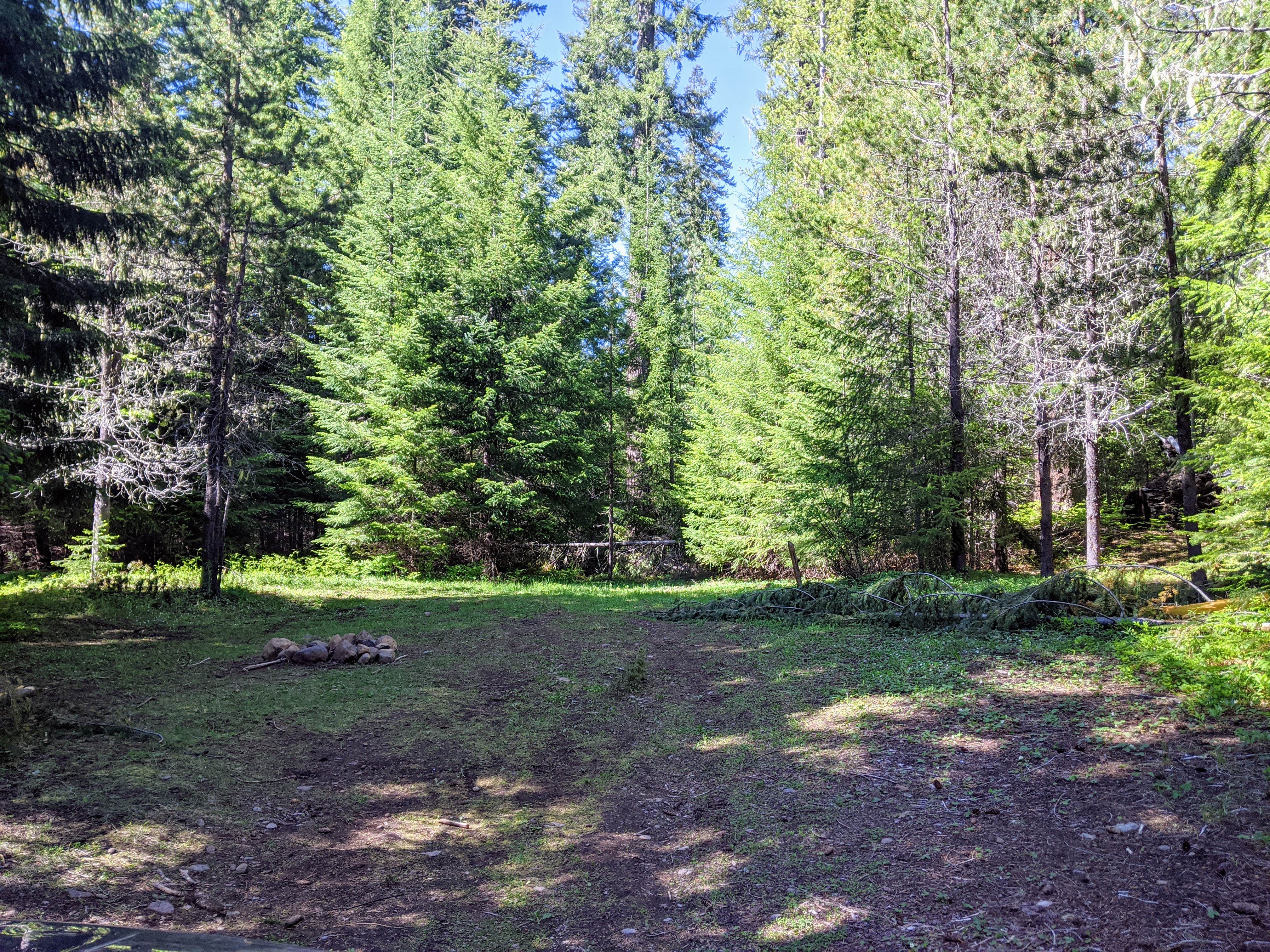 Camper-submitted photo at Maxwell Sno-Park near Mckenzie Bridge, OR