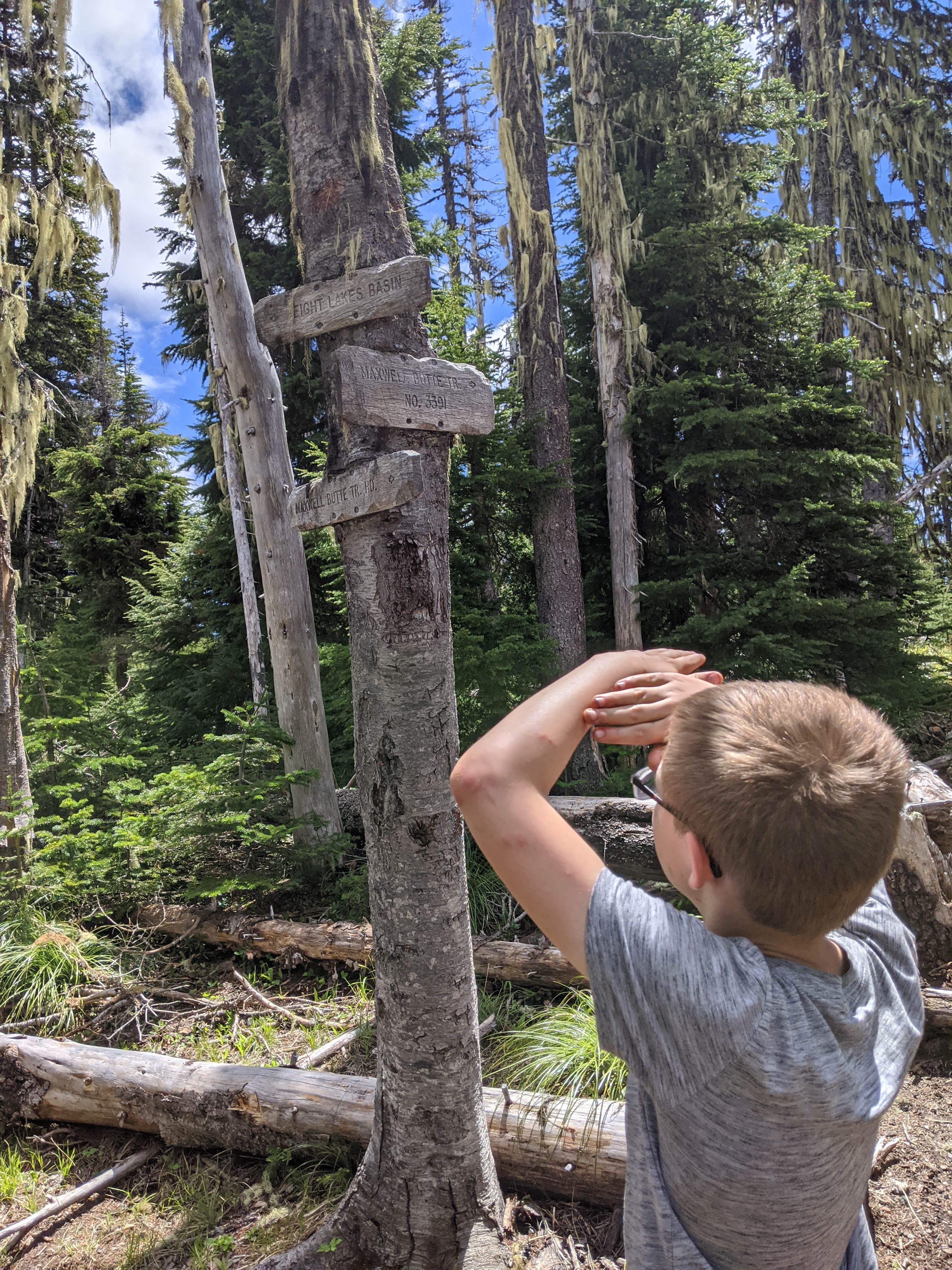 Camper-submitted photo at Maxwell Sno-Park near Mckenzie Bridge, OR