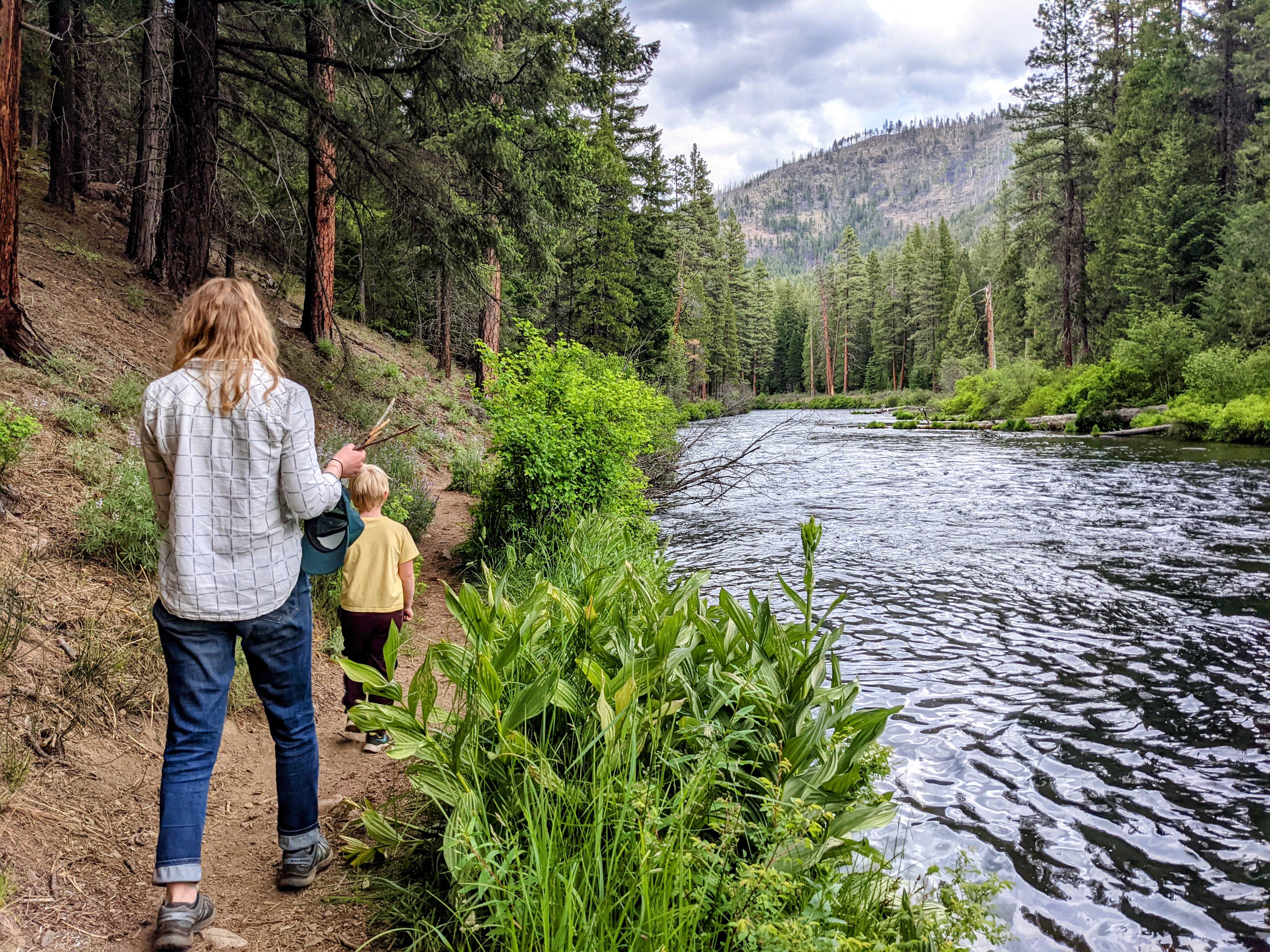 Camper submitted image from Pioneer Ford Campground - 5