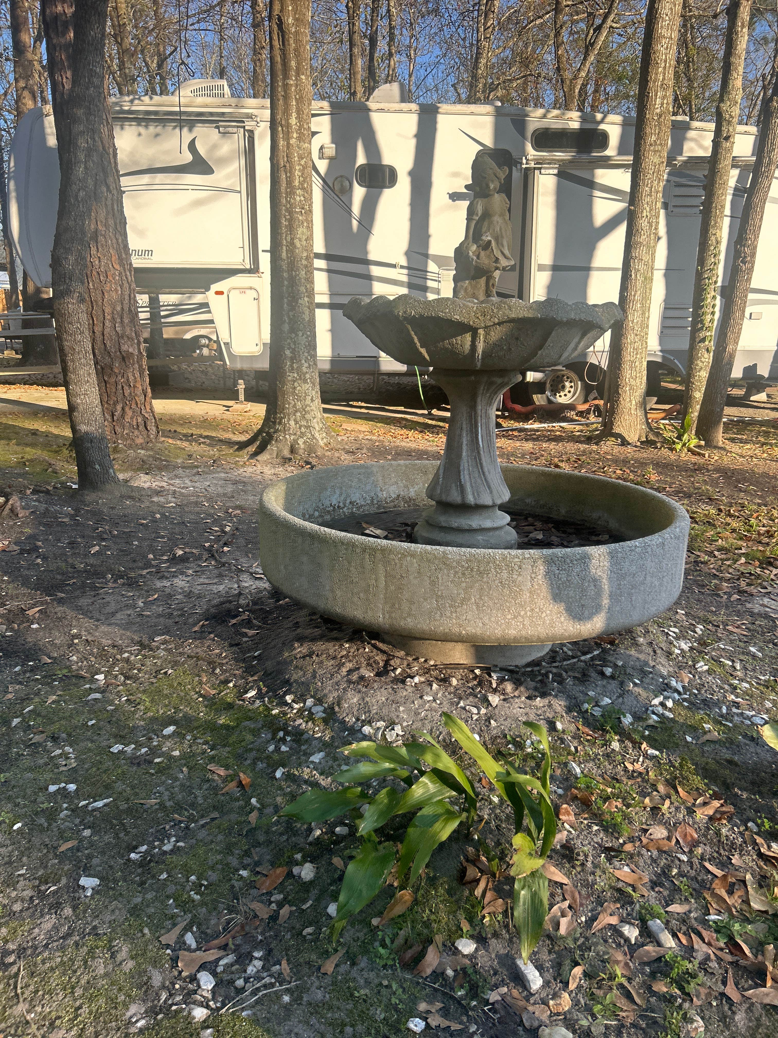 Camper-submitted photo at Peaceful Pines RV Park & Campground near De Soto National Forest