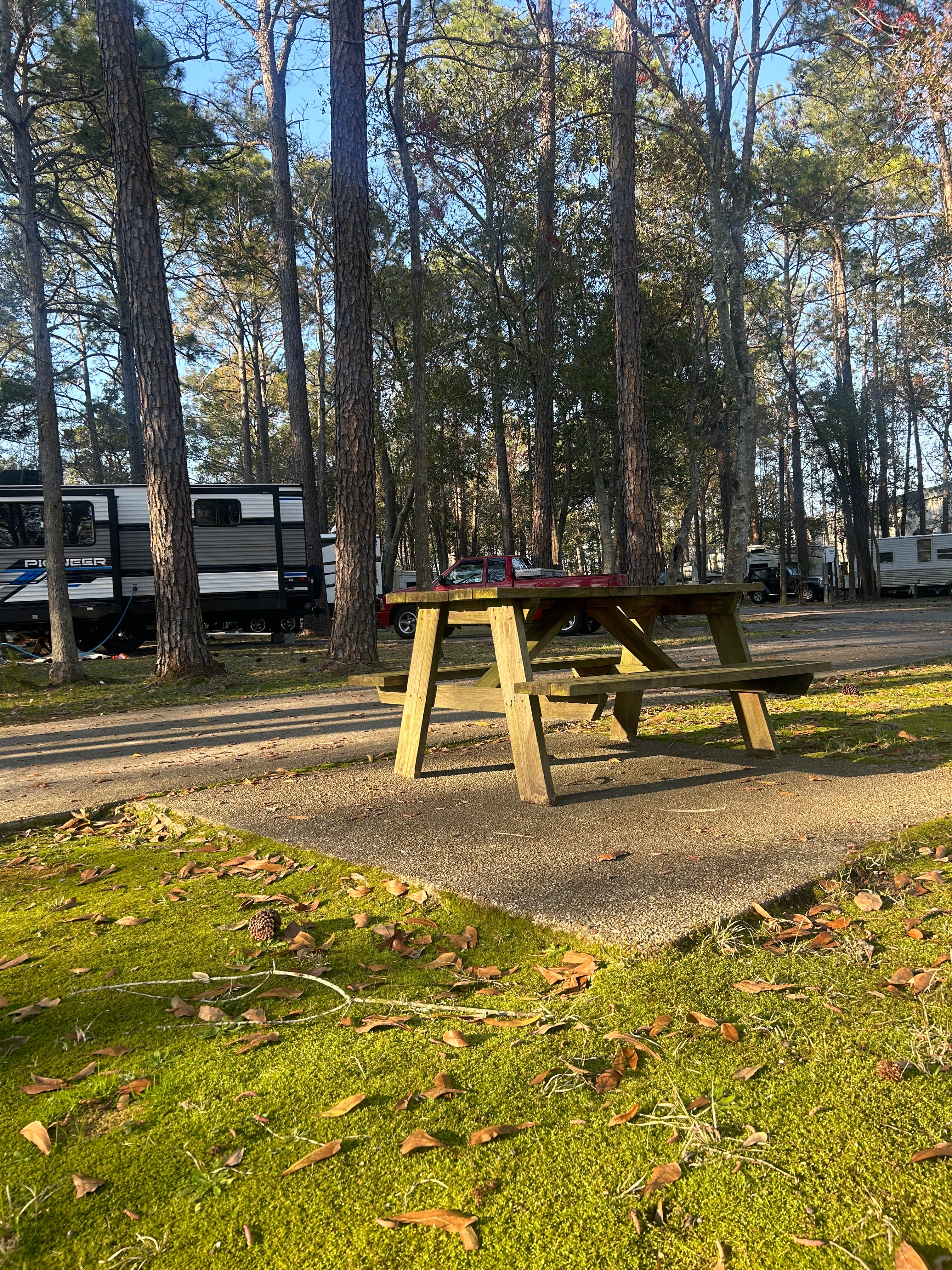 Camper-submitted photo at Peaceful Pines RV Park & Campground near De Soto National Forest