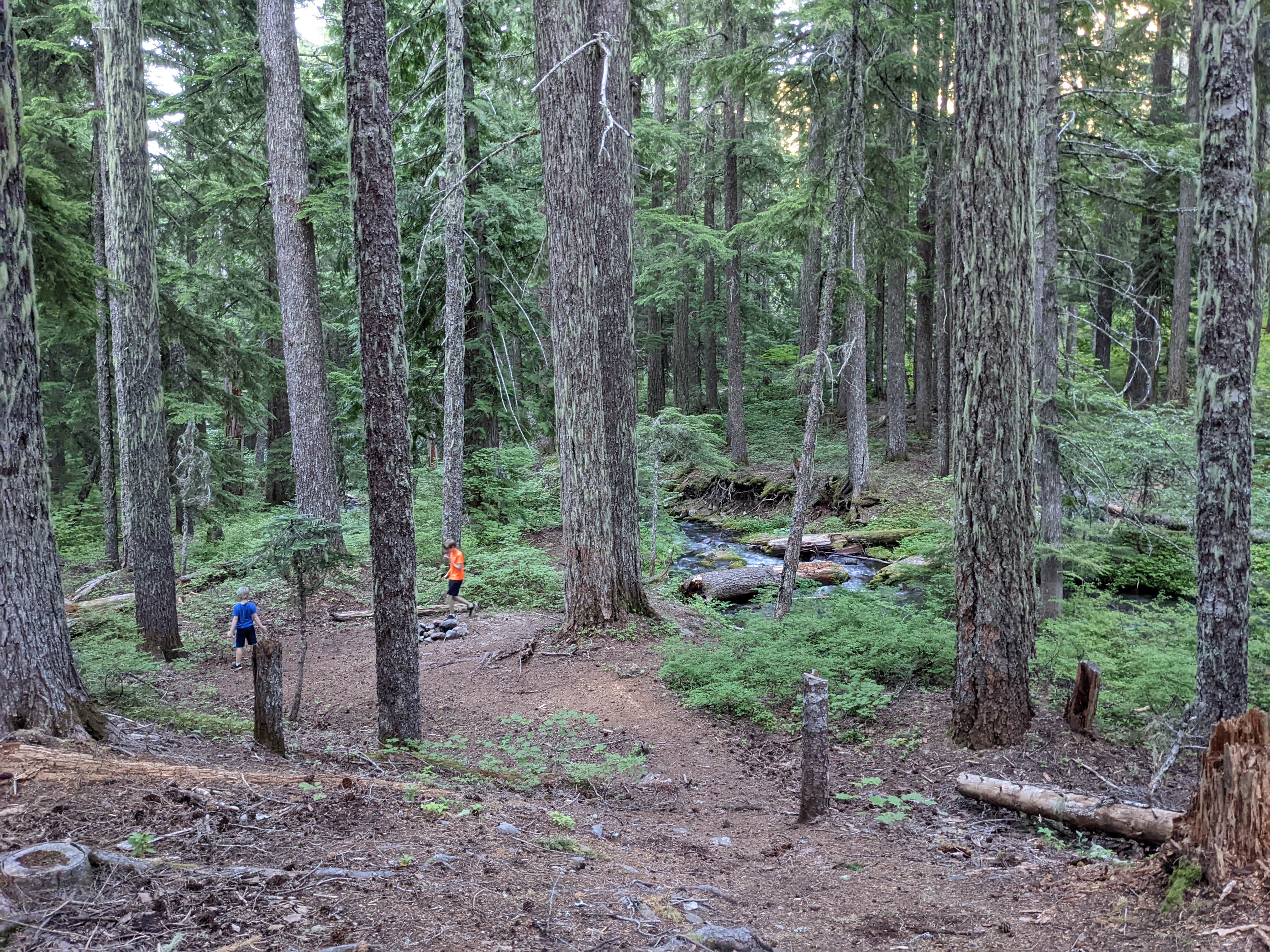 Camper-submitted photo at Elk Cove Trailhead near The Dalles, OR