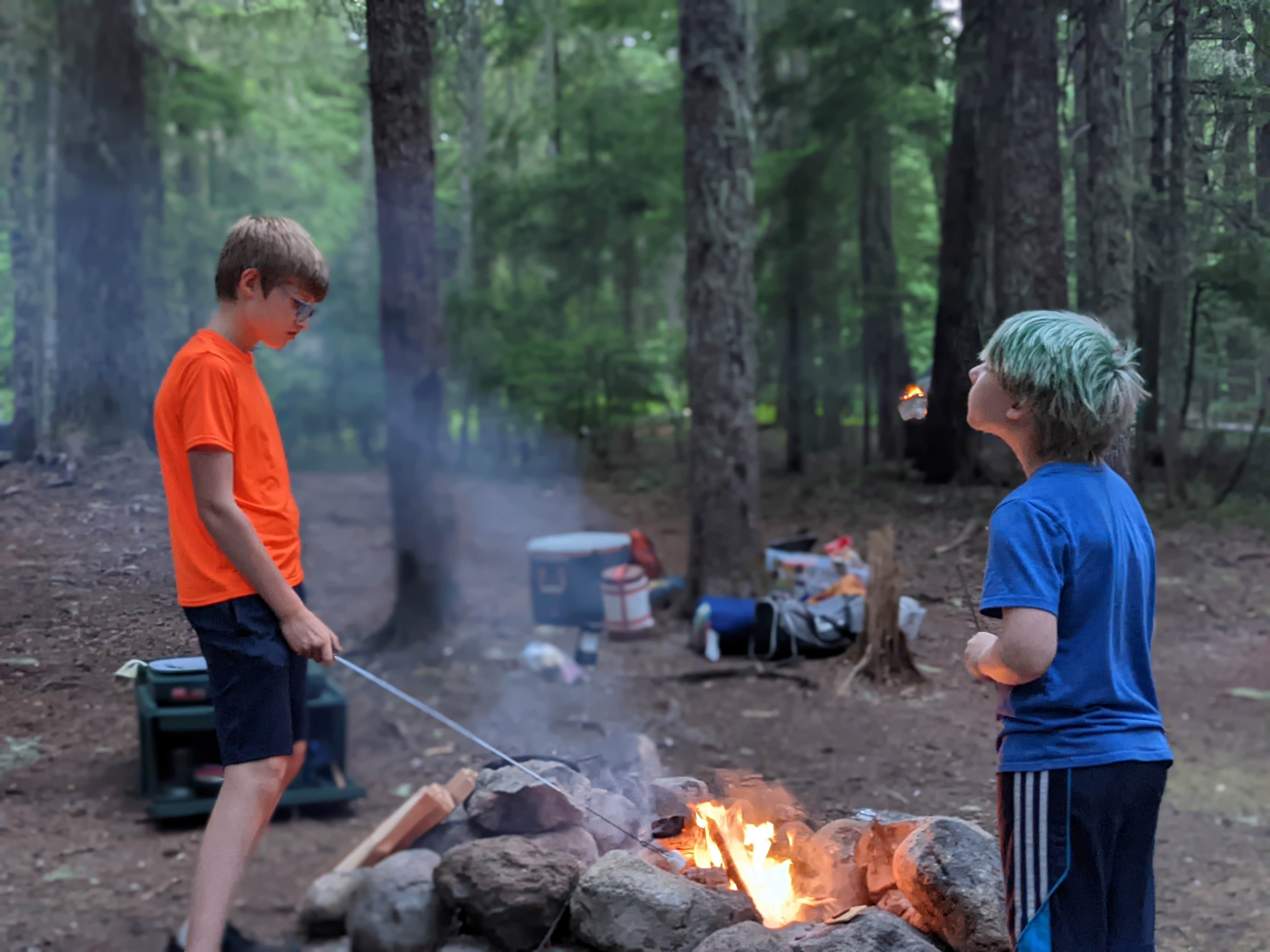 Camping near Lost Lake Resort And Campground — Mt. Hood National Forest: Elk Cove Trailhead, Government Camp, Oregon