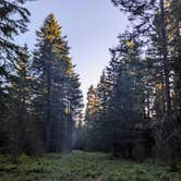 Review photo of Oldman Pass Sno-Park by Todd J., May 7, 2024