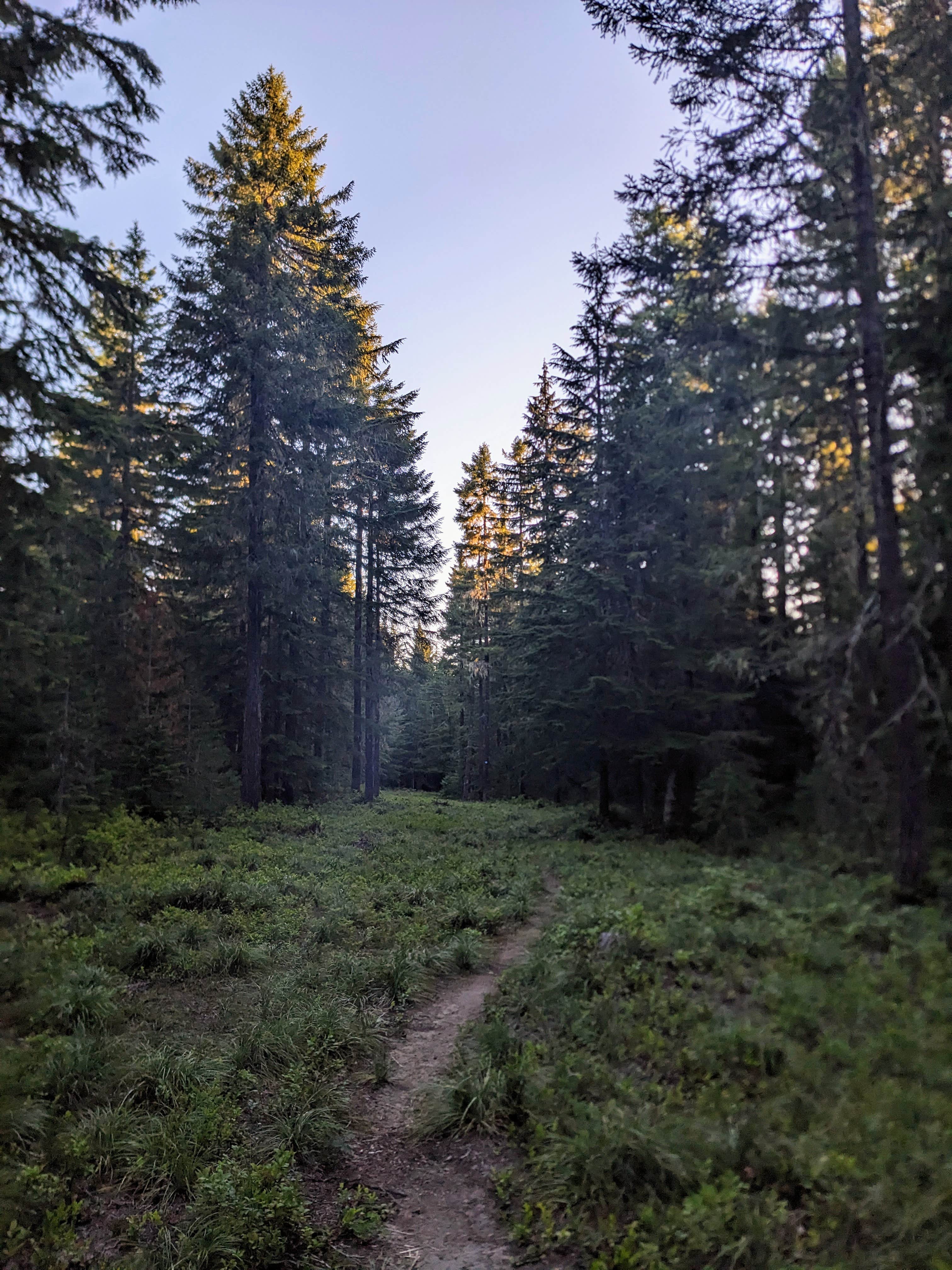 Camper submitted image from Oldman Pass Sno-Park - 2