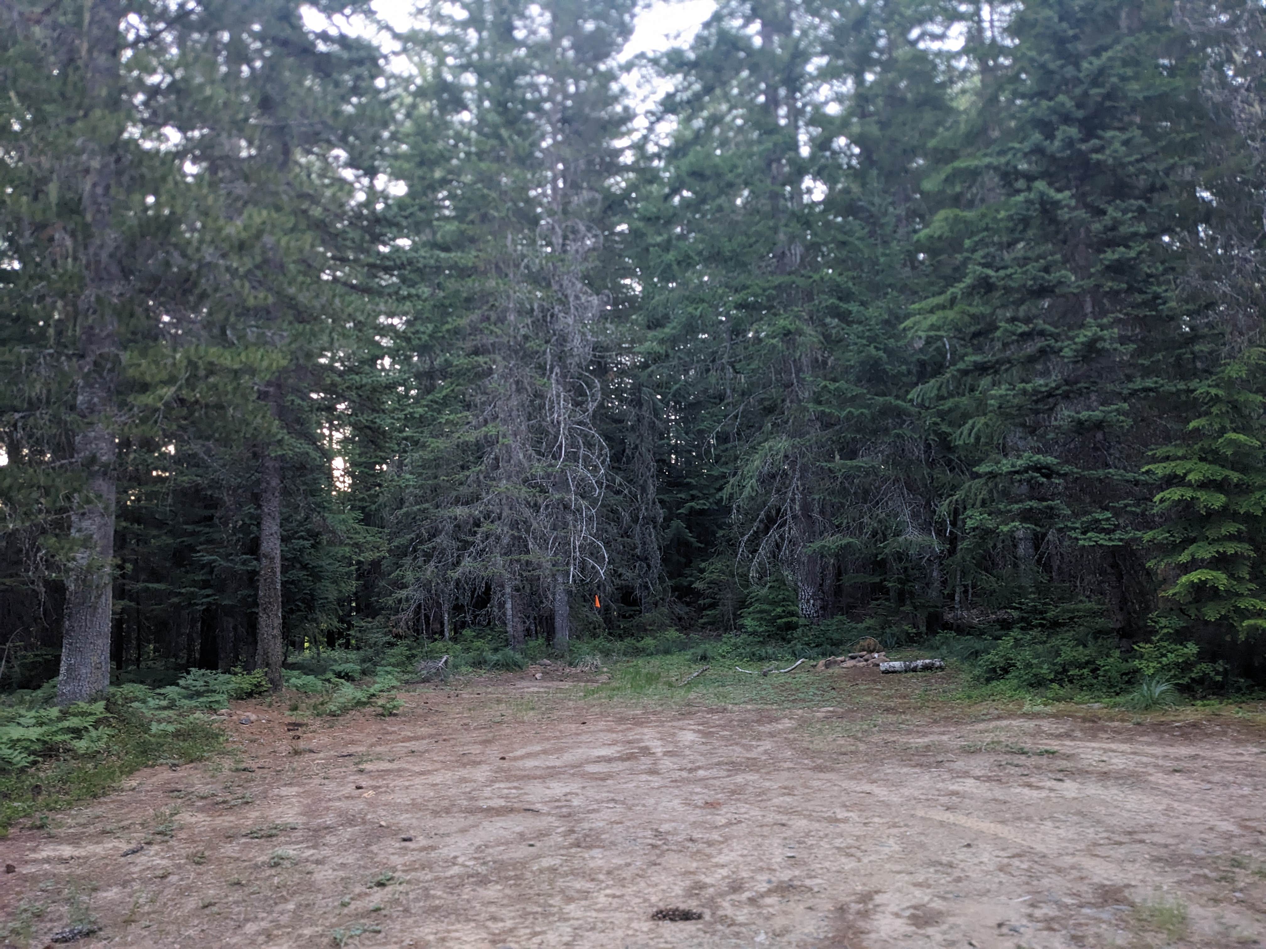 Camping near Dispersed Camping above Panther Creek Falls: Oldman Pass Sno-Park, Carson, Washington