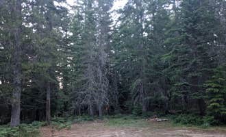 Camping near Swift Creek on Forest Road 83: Oldman Pass Sno-Park, Carson, Washington