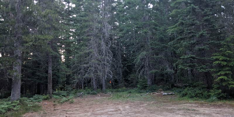 Camper submitted image from Oldman Pass Sno-Park