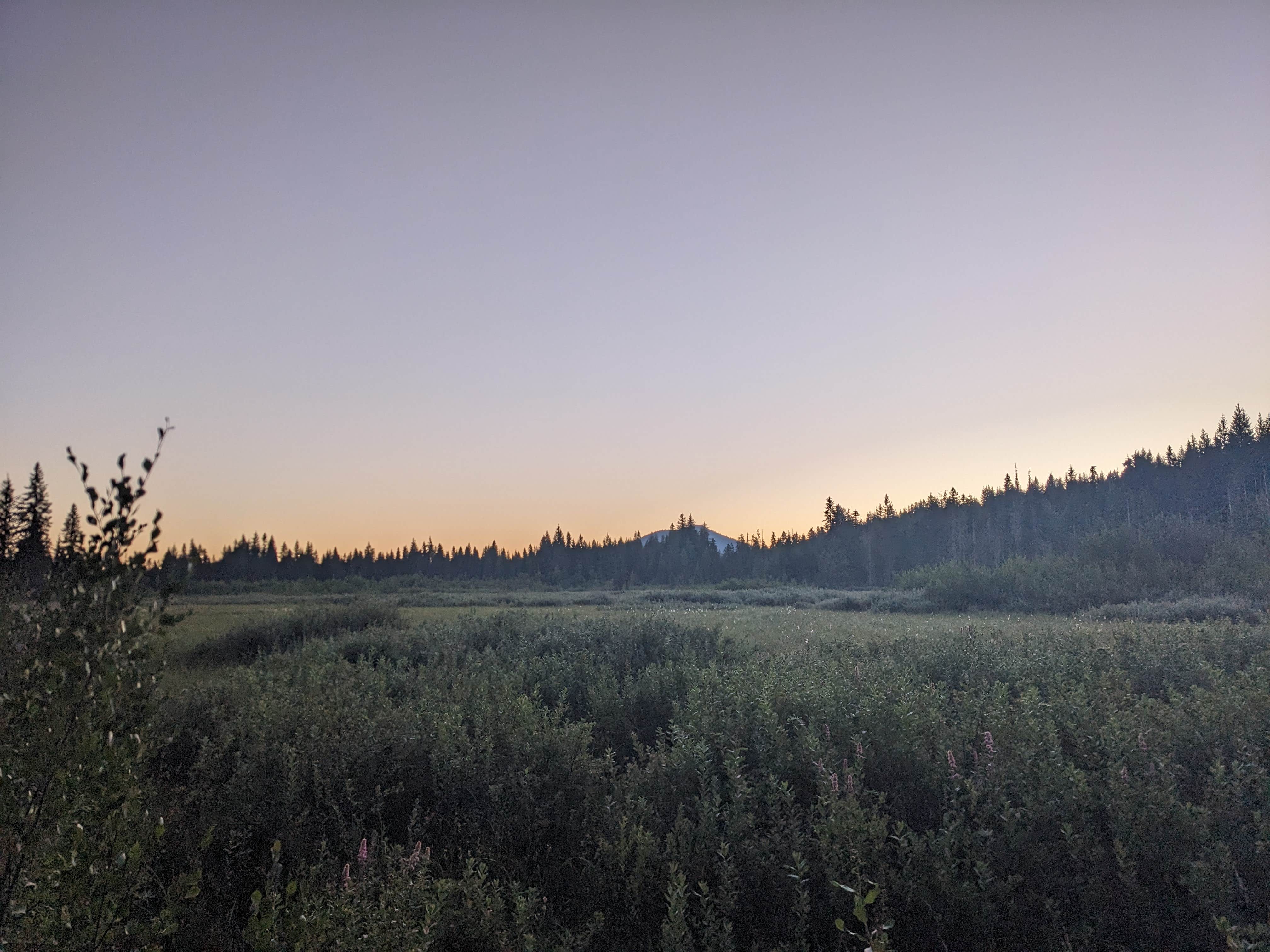 Todd J.'s photo of a dispersed camping area at Oldman Pass Sno-Park near Woodland, WA