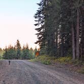 Review photo of Oldman Pass Sno-Park by Todd J., May 7, 2024