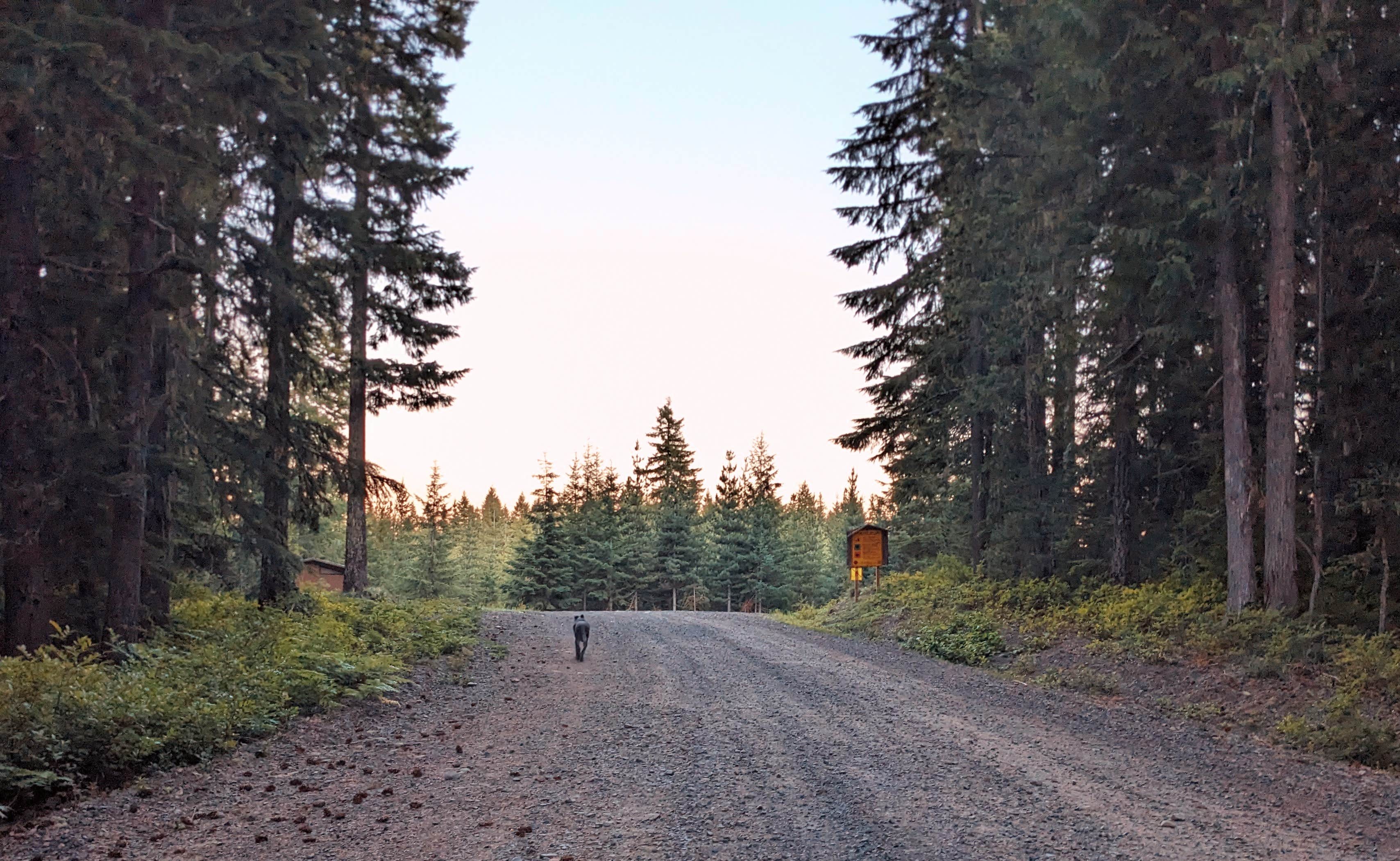 Camper submitted image from Oldman Pass Sno-Park - 3