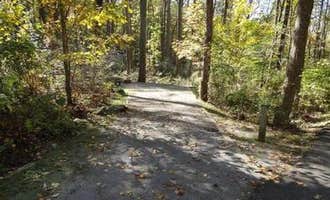 Camping near Riverview Campground: Rock Creek Recreation Area, Erwin, Tennessee