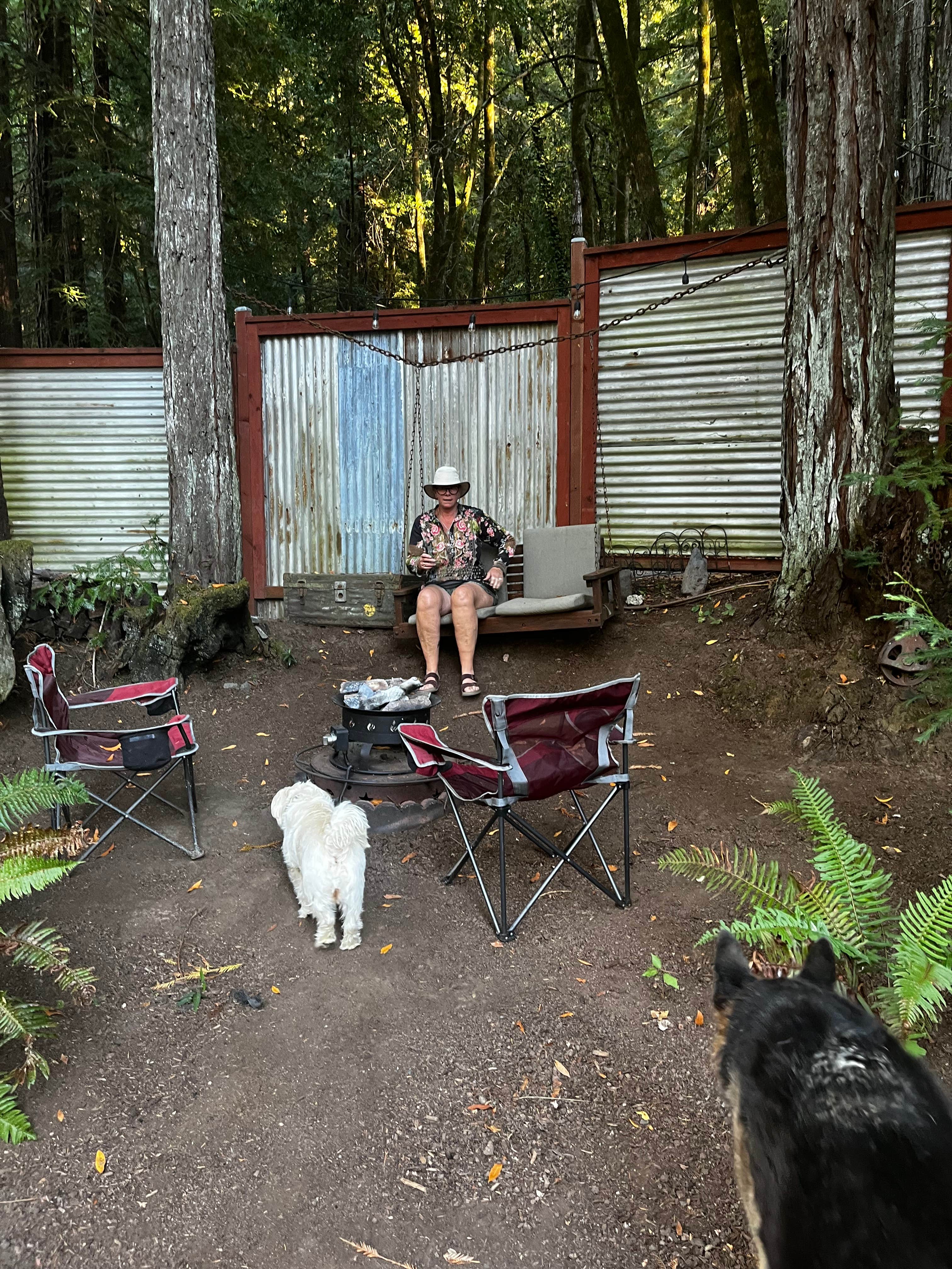 Robert C.'s photo of camping with pets at Glamping in the Redwoods 🐶🐕💃🕺🏼 near Guerneville, CA