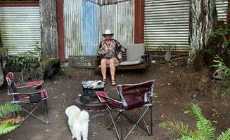 Robert C.'s photo of camping with pets at Glamping in the Redwoods 🐶🐕💃🕺🏼 near Angwin, CA