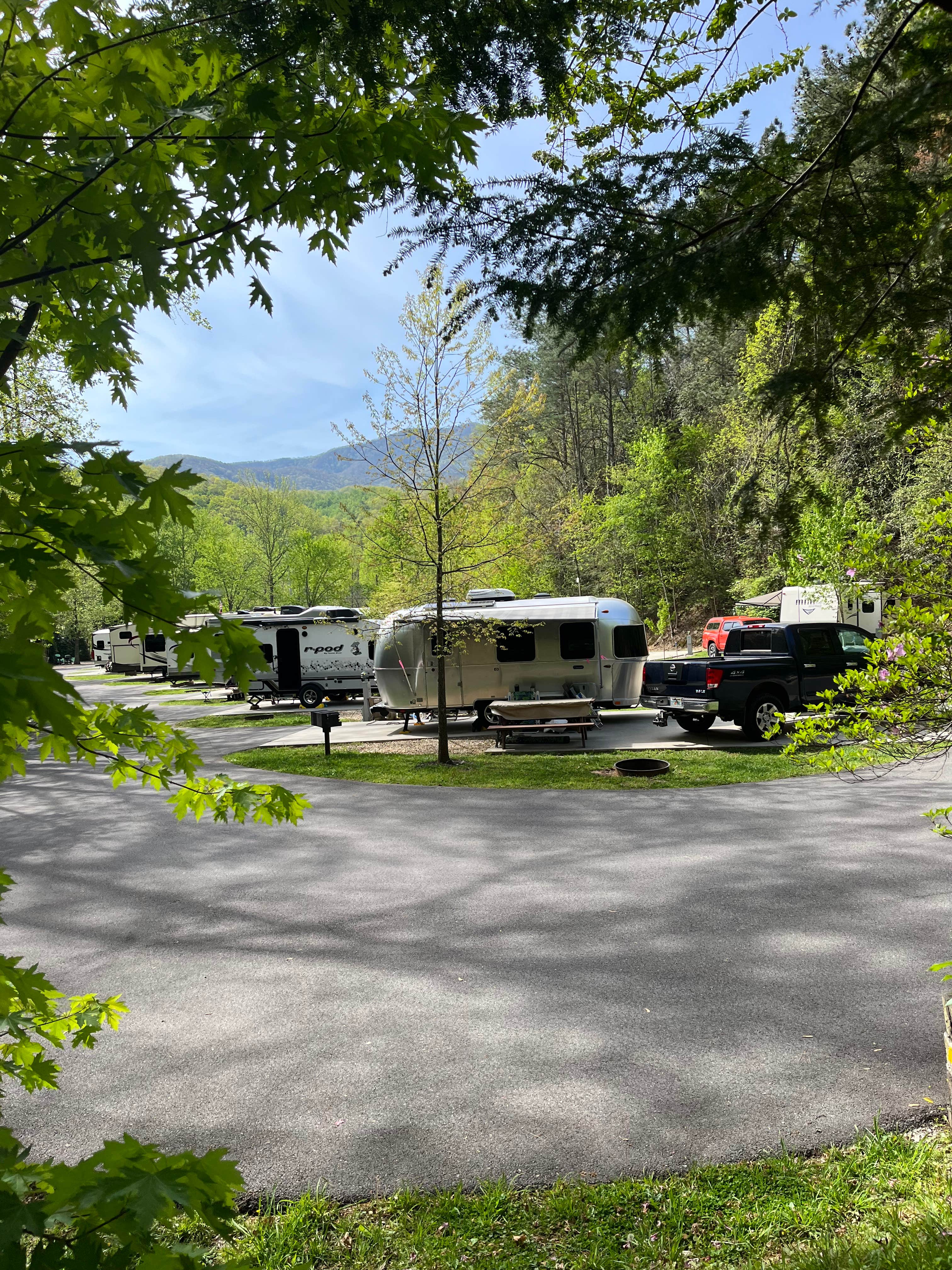 Camper submitted image from Camp LeConte Luxury Outdoor Resort - 1