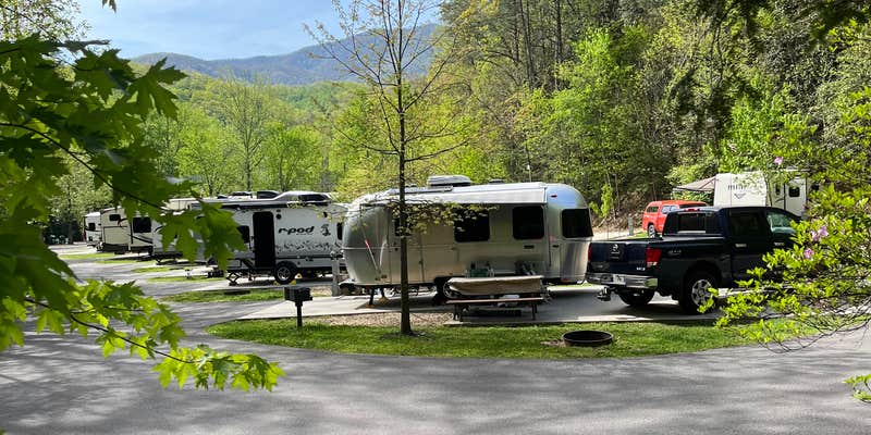 Camper submitted image from Camp LeConte Luxury Outdoor Resort