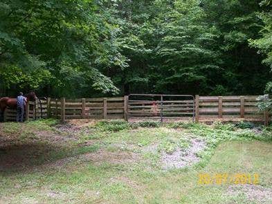 Camper-submitted photo at Young Branch Horse Camp near Etowah, TN