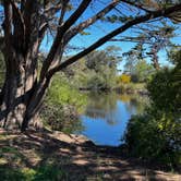 Review photo of Oceano County Campground by Patrick J., May 9, 2024