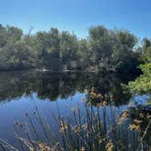 Review photo of Oceano County Campground by Patrick J., May 9, 2024